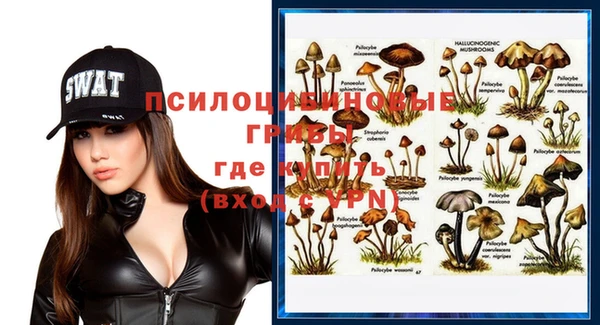 твердый Абаза