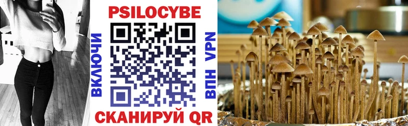 Псилоцибиновые грибы Cubensis  Истра 