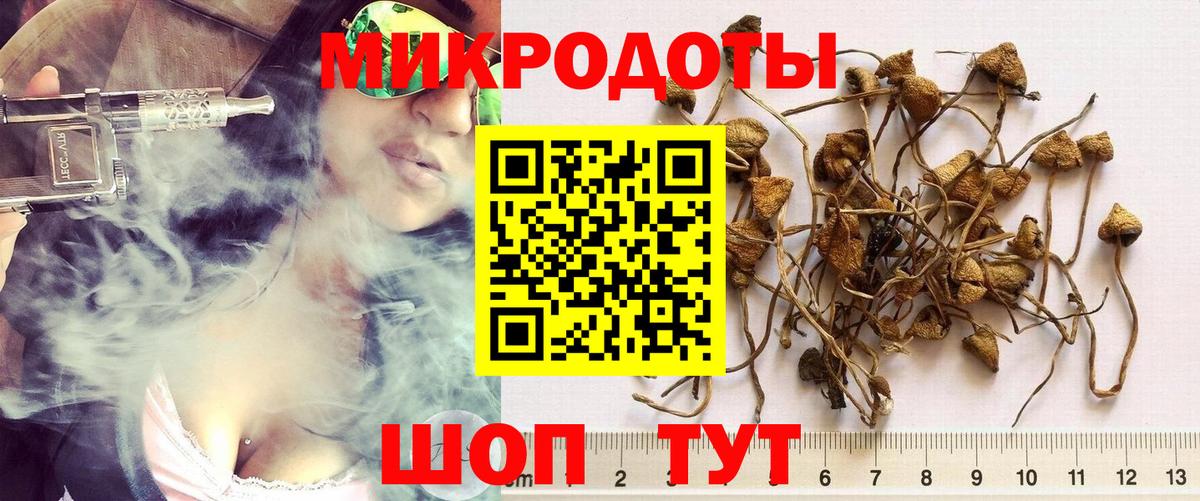 Псилоцибиновые грибы мухоморы Истра