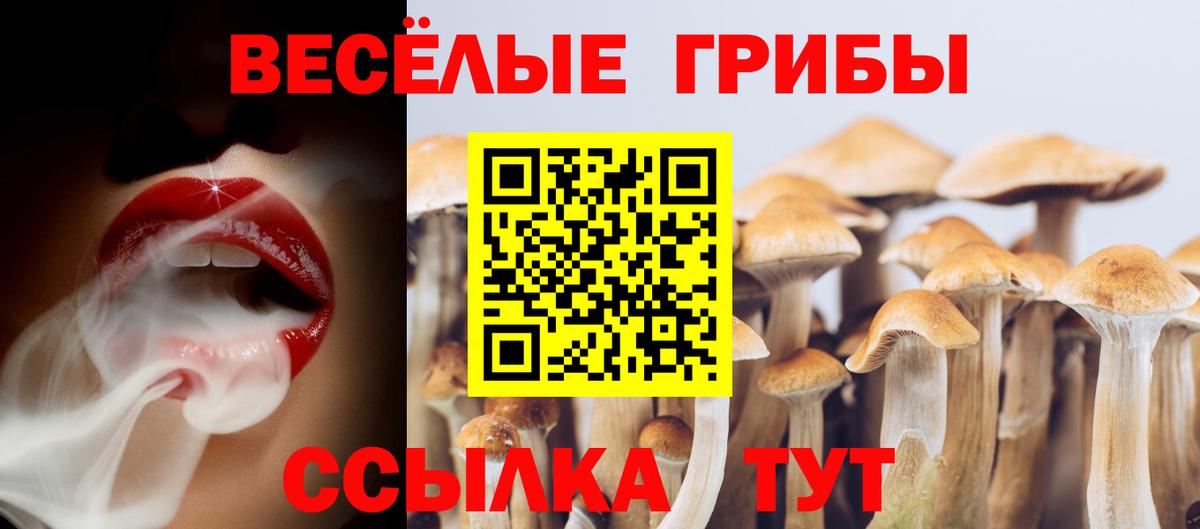Галлюциногенные грибы мухоморы  Вход с VPN  Истра 