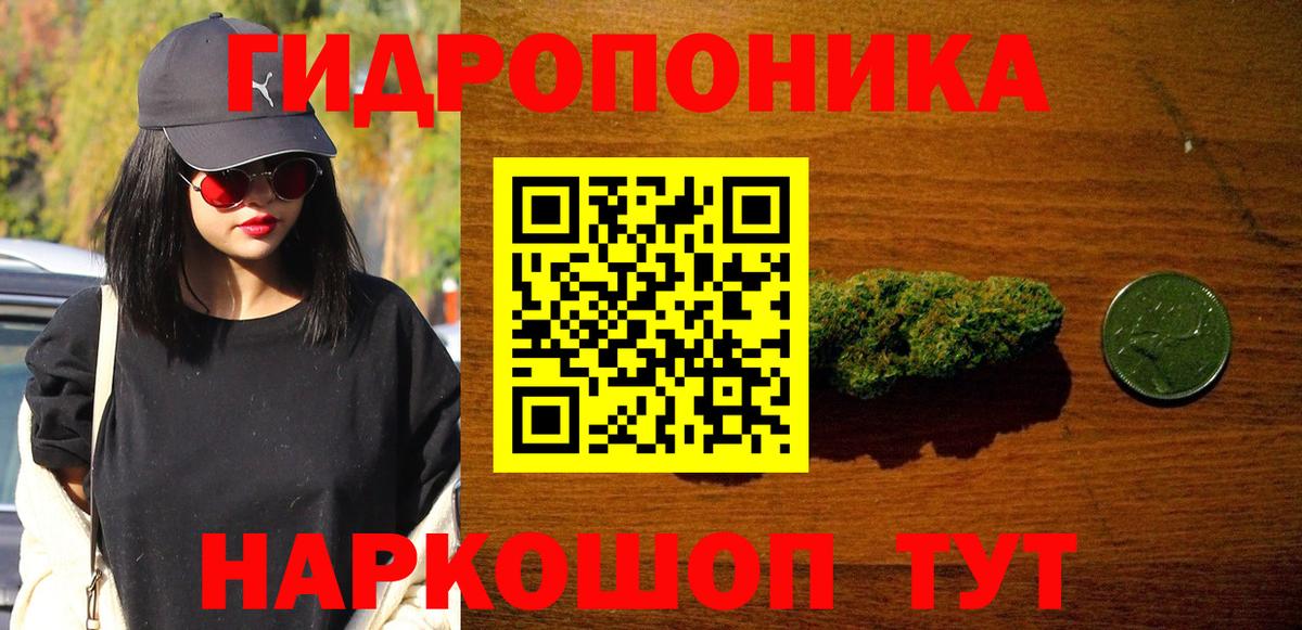 Шишки марихуана сатива Истра